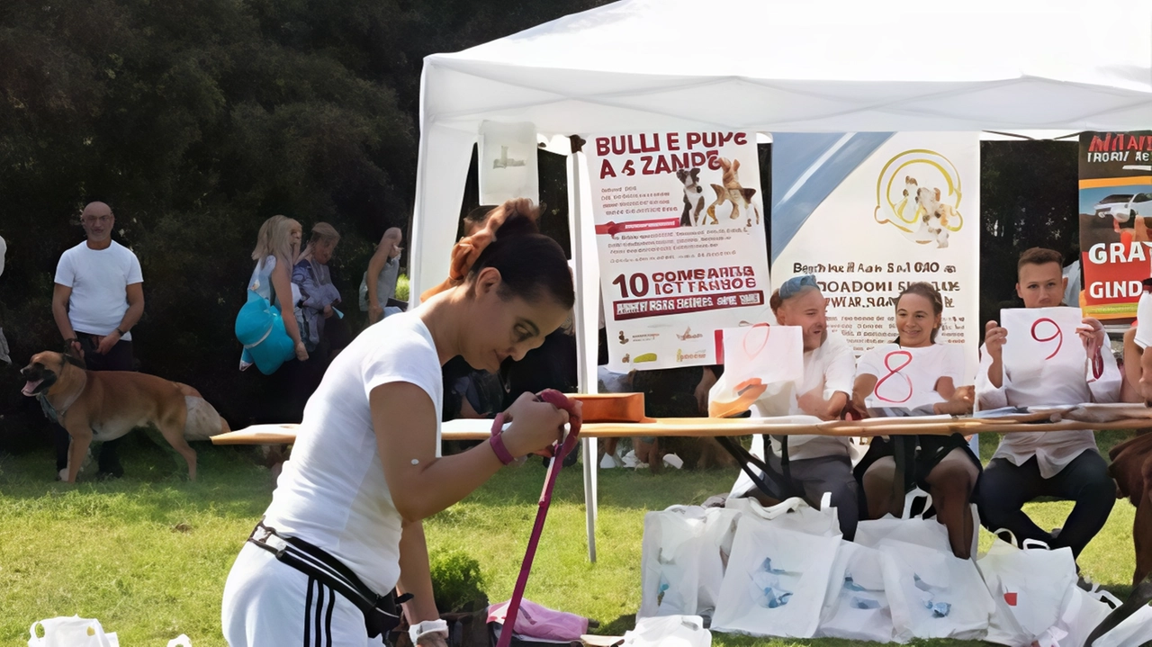 Sfilata di cani di razza e fantasia al Bosco delle Querce. Domani andrà in scena l’iniziativa “Bulli e Pupe“, il... Sfilata di cani di razza e fantasia al Bosco delle Querce. Domani andrà in scena l’iniziativa “Bulli e Pupe“, il...