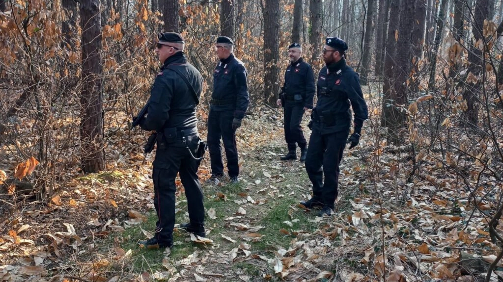 Carabinieri nei boschi della droga Carabinieri nei boschi della droga