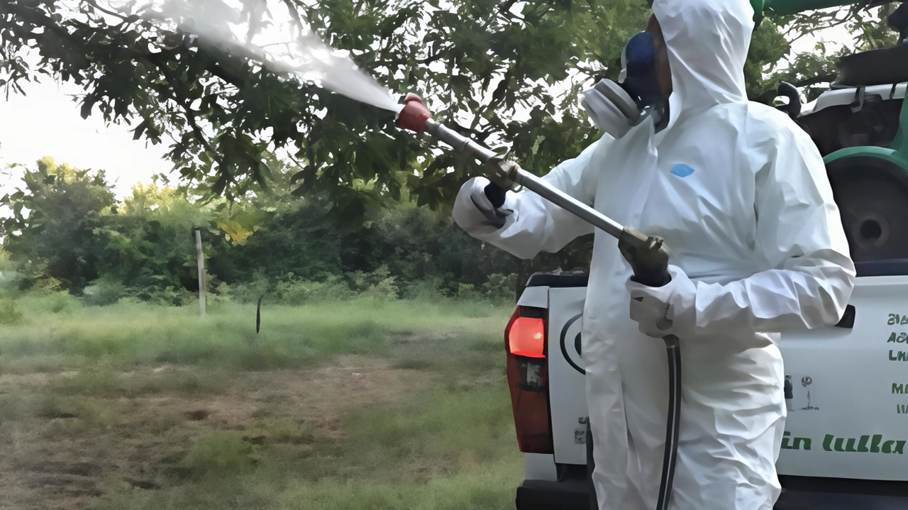 Allarme virus West Nile. Scatta la disinfestazione. Obiettivo tutelare la salute