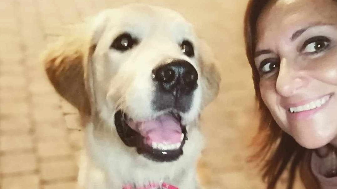 Lipsi, Golden retriever di quasi 5 anni, con la padrona Tina di Noia La cagnolina si è sentita male lo scorso mercoledì ed è stata ricoverata una notte Lipsi, Golden retriever di quasi 5 anni, con la padrona Tina di Noia La cagnolina si è sentita male lo scorso mercoledì ed è stata ricoverata una notte