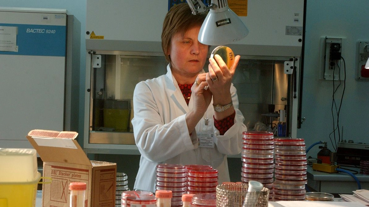 La legionella è stata individuata in diverse abitazioni. Scagionate le fontane La legionella è stata individuata in diverse abitazioni. Scagionate le fontane