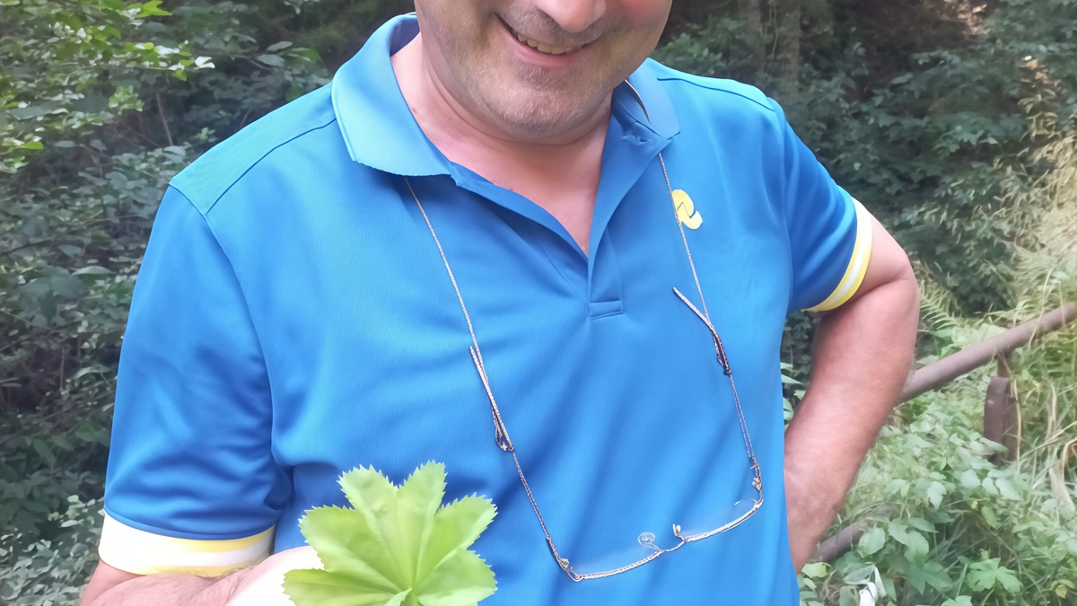 Marco Biolo mostra una foglia. di alchemilla Marco Biolo mostra una foglia. di alchemilla