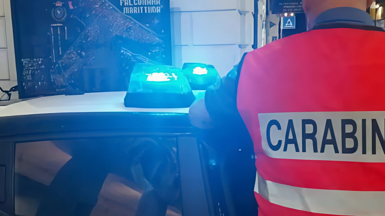 Cuggiono, i ladri inseguiti dai carabinieri hanno abbandonato il bottino nei campi Cuggiono, i ladri inseguiti dai carabinieri hanno abbandonato il bottino nei campi