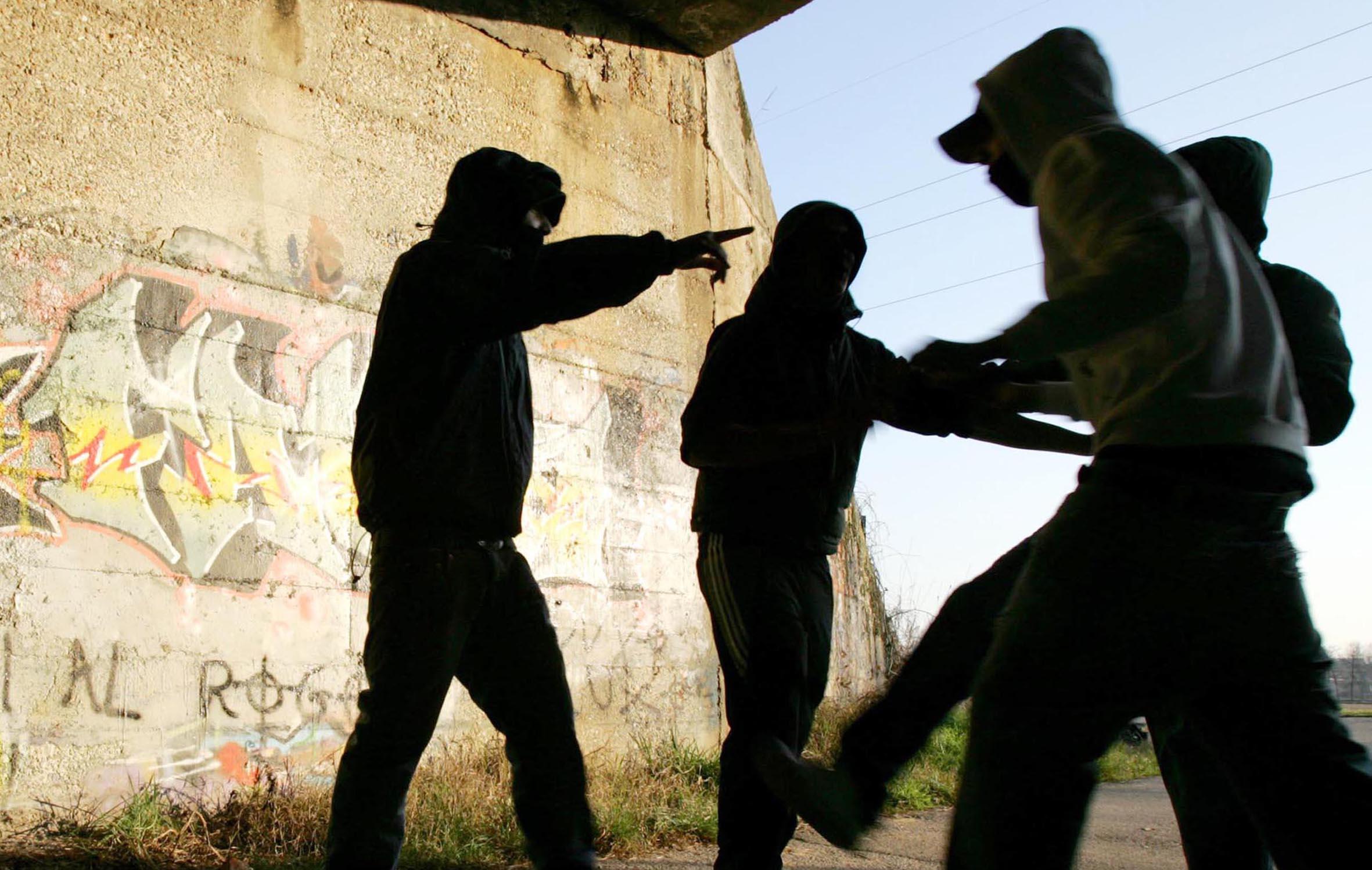 Crema, baby gang scatena il pitbull contro un ragazzo: fuga con 500 euro e il cellulare Crema, baby gang scatena il pitbull contro un ragazzo: fuga con 500 euro e il cellulare