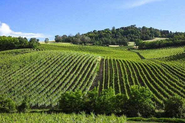 Mornico Losana, il paesino dell Mornico Losana, il paesino dell