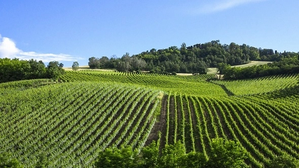 Paesaggio di Mornico Losana (foto MDidier)