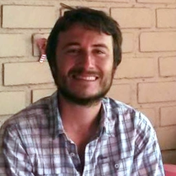 Andrea Giorgio Gianni, Giornalista Il Giorno