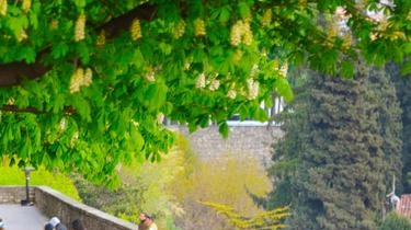Una nuova audioguida per smartphone per consentire ai turisti (e non solo) di godersi, passeggiando, una delle maggiori attrazioni di... Una nuova audioguida per smartphone per consentire ai turisti (e non solo) di godersi, passeggiando, una delle maggiori attrazioni di...