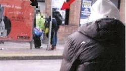 Alcune foto scattate dagli agenti della polizia locale nel corso delle indagini Alcune foto scattate dagli agenti della polizia locale nel corso delle indagini