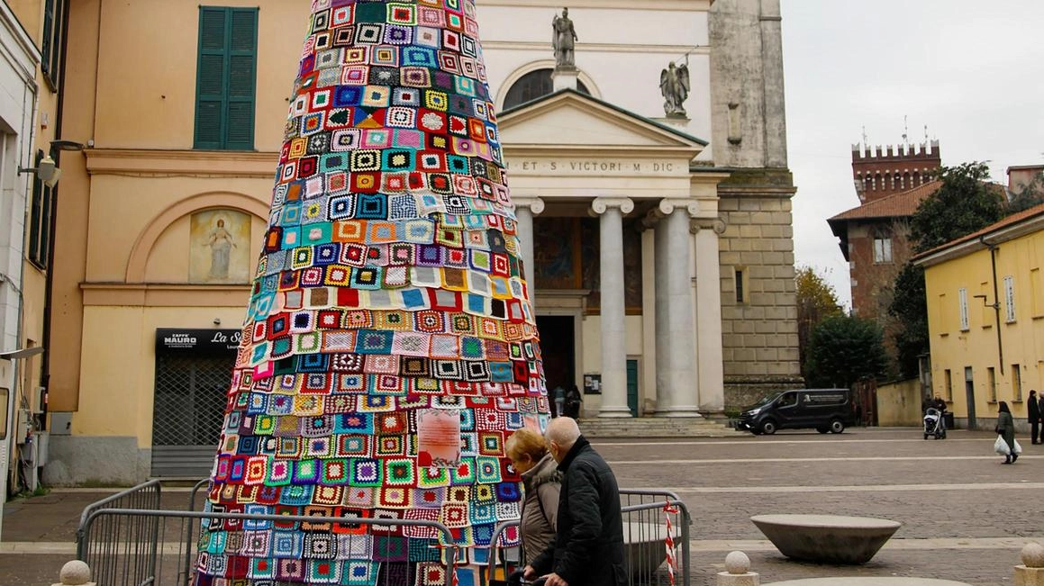 L’albero di Natale allestito in centro L’albero di Natale allestito in centro