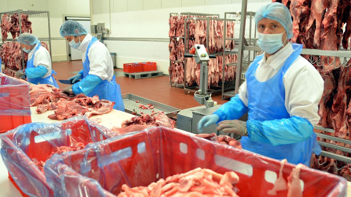 Alla Vismara di Casatenovo il miracolo dei salumi: dal fallimento all