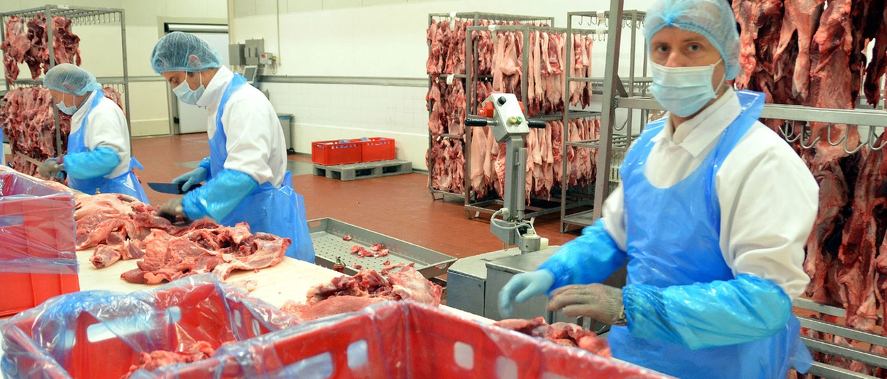 Alla Vismara di Casatenovo il miracolo dei salumi: dal fallimento all'utile in soli 4 mesi