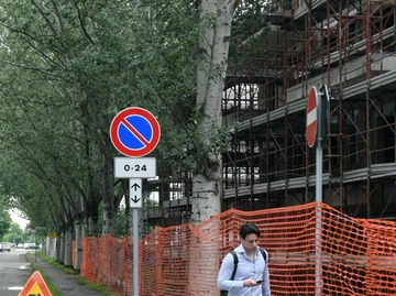 immagine articolo