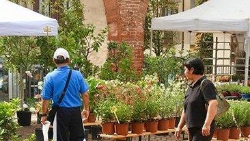 Fino ad oggi piazza Catello ospiterà “Artigiani al Castello e fiori d’autunno”, rassegna di artigianato artistico di qualità e... Fino ad oggi piazza Catello ospiterà “Artigiani al Castello e fiori d’autunno”, rassegna di artigianato artistico di qualità e...