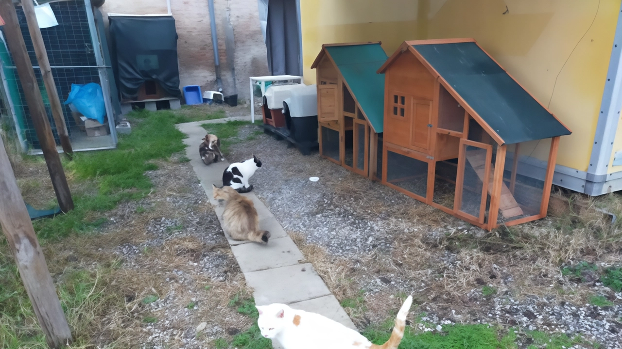 La Regione Lombardia destina fondi per nuove strutture per gatti a Milano e cani a Varese, dimostrando attenzione verso gli animali. Iniziative come l'oasi felina all'ospedale Sacco evidenziano l'impegno per il benessere degli animali. L'assessore Bertolaso invita a non abbandonare gli animali durante le vacanze. La Regione Lombardia destina fondi per nuove strutture per gatti a Milano e cani a Varese, dimostrando attenzione verso gli animali. Iniziative come l'oasi felina all'ospedale Sacco evidenziano l'impegno per il benessere degli animali. L'assessore Bertolaso invita a non abbandonare gli animali durante le vacanze.