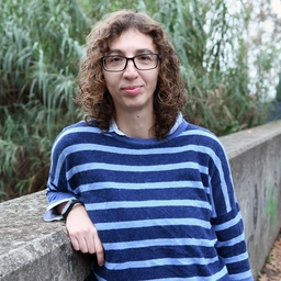 Cristiana Mariani, Giornalista