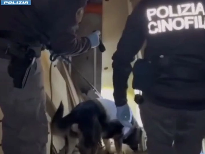 Gli agenti dell’Ufficio Prevenzione Generale e Soccorso Pubblico della Questura milanese, con l’ausilio del cane poliziotto Athena dell’Unità Cinofila