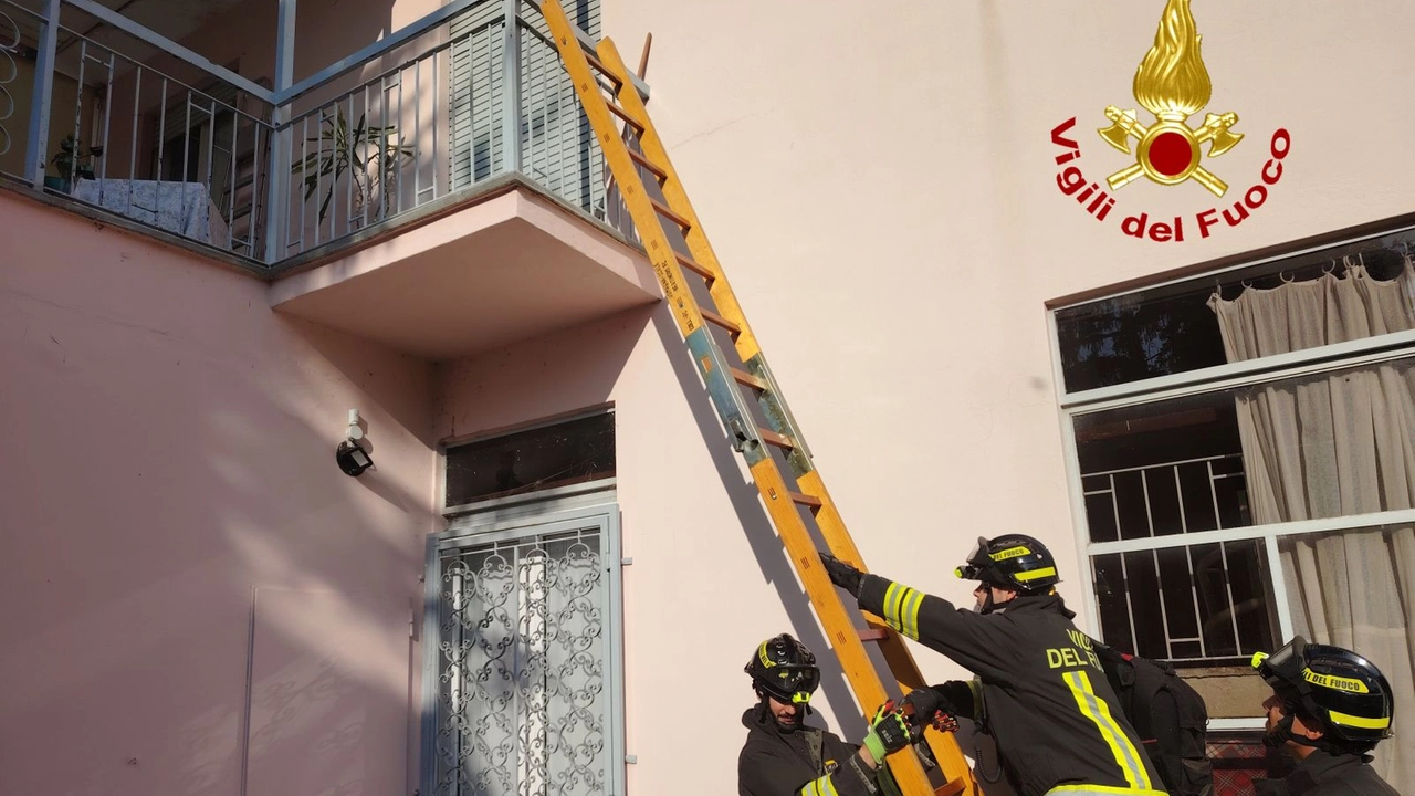 I vigili del fuoco hanno dovuto fronteggiare diverse emergenze I vigili del fuoco hanno dovuto fronteggiare diverse emergenze