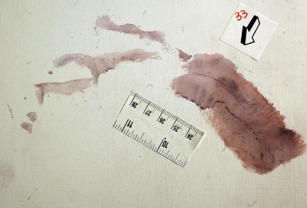Le 8 impronte “utili” trovate in casa di Chiara Poggi: le tracce di Sempio, Stasi e di un falegname sulla scena del delitto Le 8 impronte “utili” trovate in casa di Chiara Poggi: le tracce di Sempio, Stasi e di un falegname sulla scena del delitto
