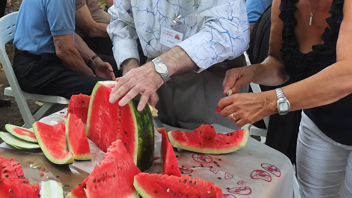 Niente fuochi, vietato anche l’utilizzo di bottiglie e bicchieri di vetro e al termine delle scampagnata è obbligatorio ripulire gli spazi. Tante le aree verdi a disposizione, l’elenco sul sito del municipio. Niente fuochi, vietato anche l’utilizzo di bottiglie e bicchieri di vetro e al termine delle scampagnata è obbligatorio ripulire gli spazi. Tante le aree verdi a disposizione, l’elenco sul sito del municipio.