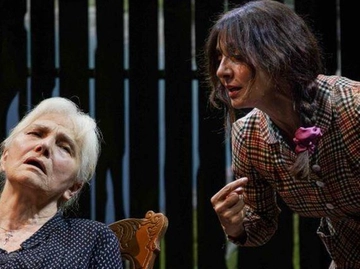 immagine articolo