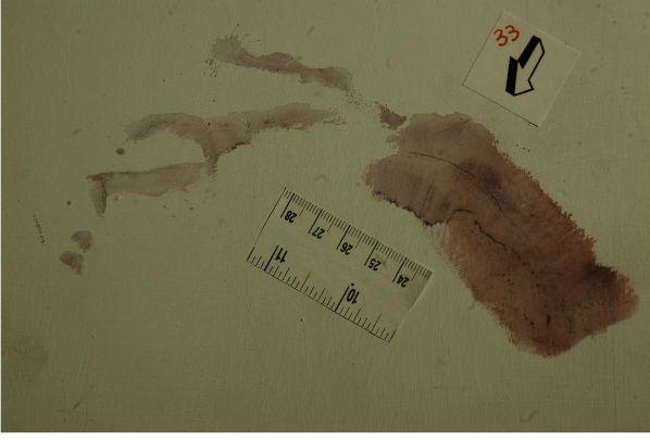 Garlasco, la svolta in 7 punti: il match con Sempio, il mignolo di Stasi sul cartone della pizza, l’impronta ‘muta’ sul portone Garlasco, la svolta in 7 punti: il match con Sempio, il mignolo di Stasi sul cartone della pizza, l’impronta ‘muta’ sul portone