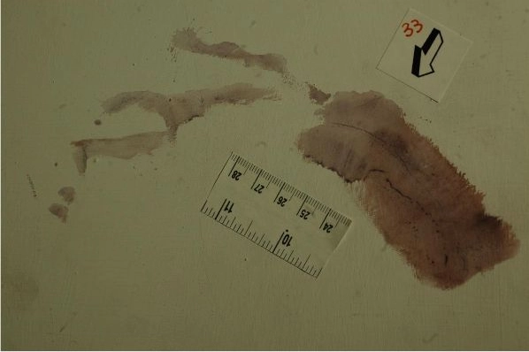 L'impronta 33 del delitto di Garlasco