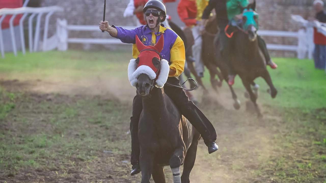 Il Gallo si è assicurato il Palio dopo quattro anni grazie all’accoppiata Ziculitth Cersosimo Il Gallo si è assicurato il Palio dopo quattro anni grazie all’accoppiata Ziculitth Cersosimo