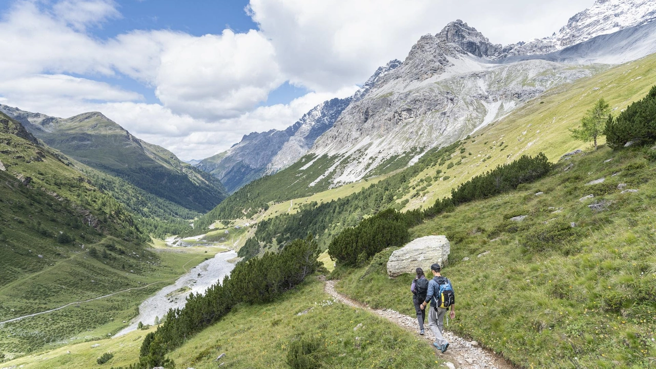 Inaugurato il nuovo Sentiero Geologico della Val Zebrù, un itinerario in sette tappe alla scoperta della storia geologica delle Alpi (Credits: Giacomo Meneghello) Inaugurato il nuovo Sentiero Geologico della Val Zebrù, un itinerario in sette tappe alla scoperta della storia geologica delle Alpi (Credits: Giacomo Meneghello)