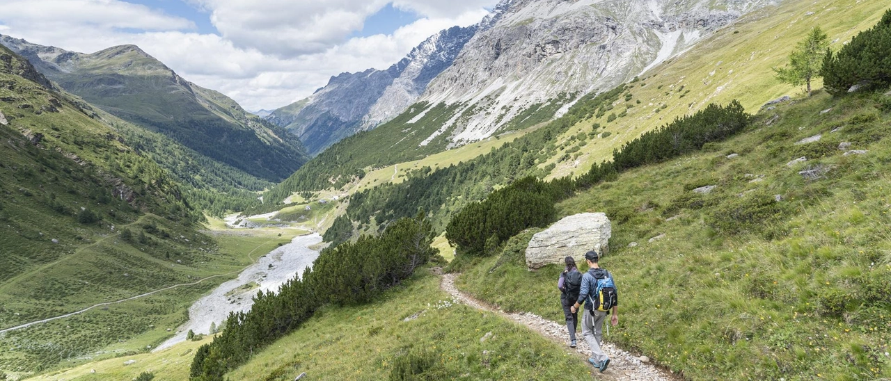 Parco Nazionale dello Stelvio, il nuovo sentiero geologico in Val Zebrù svela milioni di anni di storia alpina