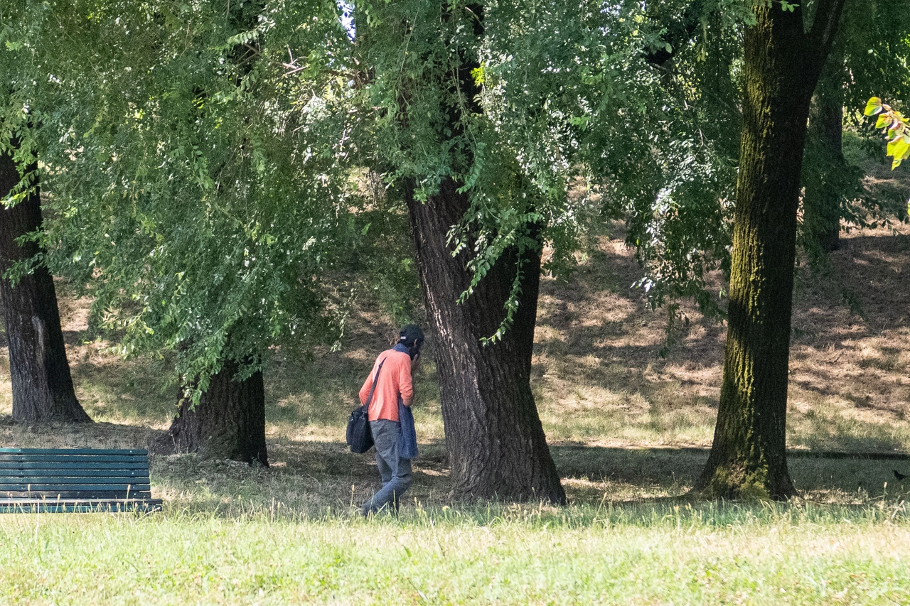 I fantasmi del bosco di Rogoredo, luogo di spaccio