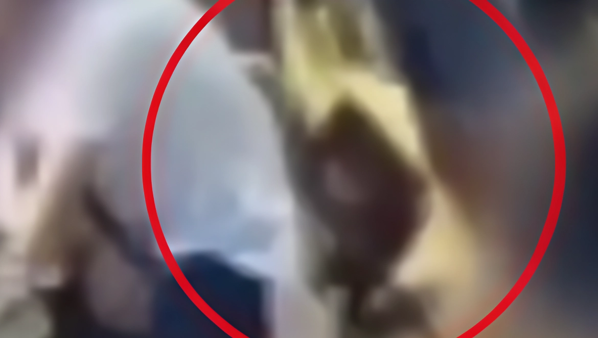 A Milano, una famiglia di turisti è stata derubata di una borsa con 350 euro e un Rolex da 10mila euro in un ristorante. Le indagini si concentrano sulle telecamere di videosorveglianza della zona. A Milano, una famiglia di turisti è stata derubata di una borsa con 350 euro e un Rolex da 10mila euro in un ristorante. Le indagini si concentrano sulle telecamere di videosorveglianza della zona.