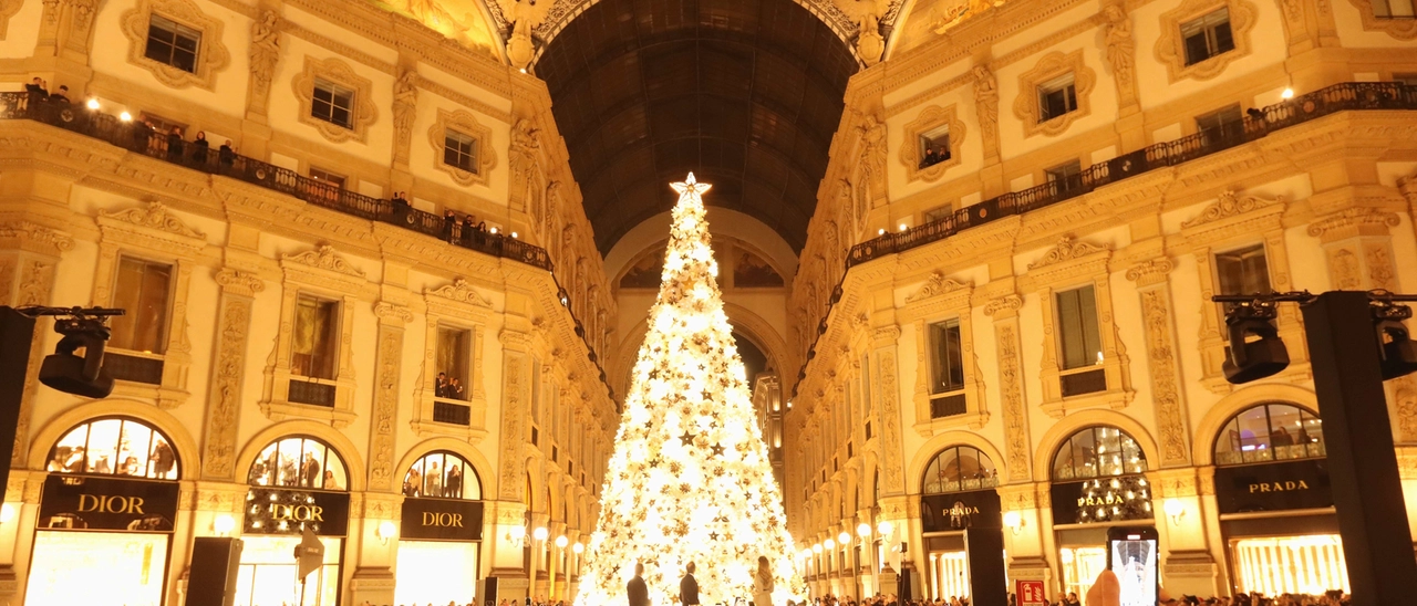 Milano pensa (già) al Natale: pubblicato il bando per alberi e luminarie