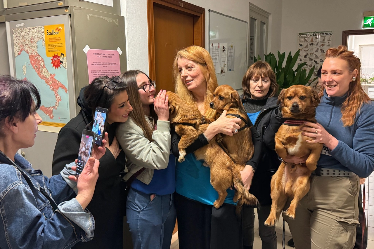 L'onorevole Maria Vittoria Brambilla con i cuccioli salvati