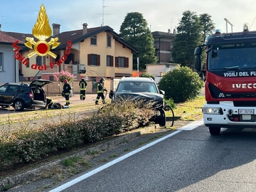 immagine articolo