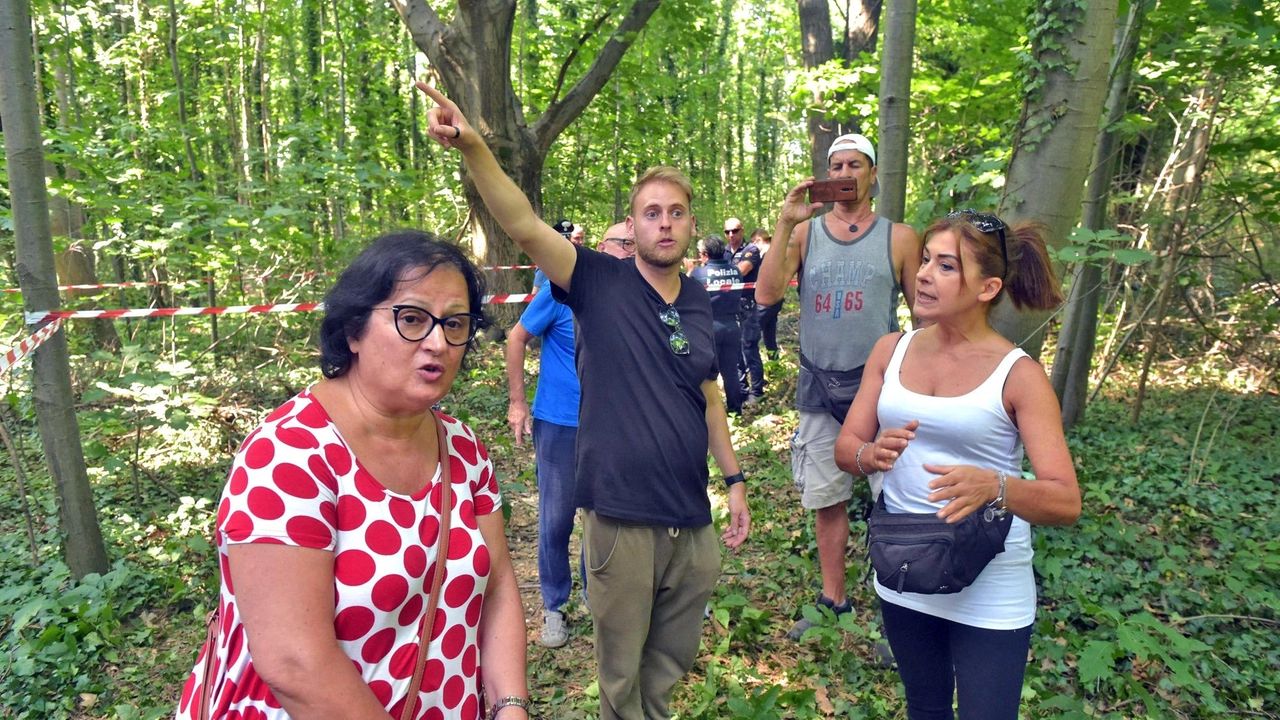 Attivisti contestano il taglio del bosco a Gallarate per far spazio a un polo scolastico. L'impresa ha temporaneamente sospeso i lavori. Progetto Grow29 prevede interventi per oltre 18 milioni di euro entro il 2027. Attivisti contestano il taglio del bosco a Gallarate per far spazio a un polo scolastico. L'impresa ha temporaneamente sospeso i lavori. Progetto Grow29 prevede interventi per oltre 18 milioni di euro entro il 2027.