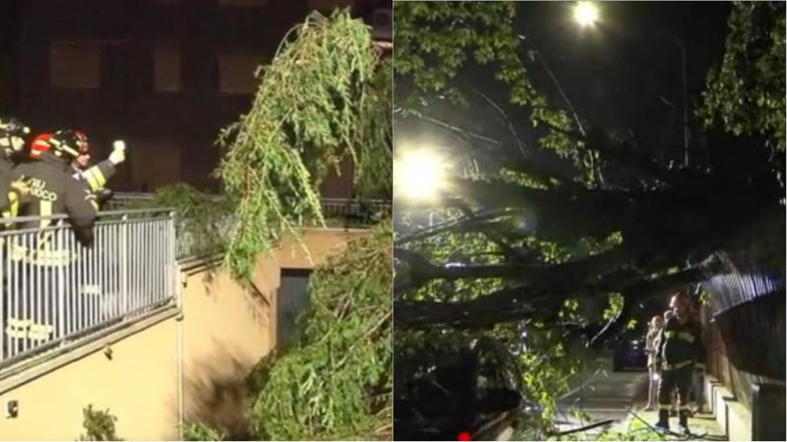 Pioggia, lampi e tuoni in Lombardia: il temporale (come sempre) abbatte gli alberi e provoca allagamenti