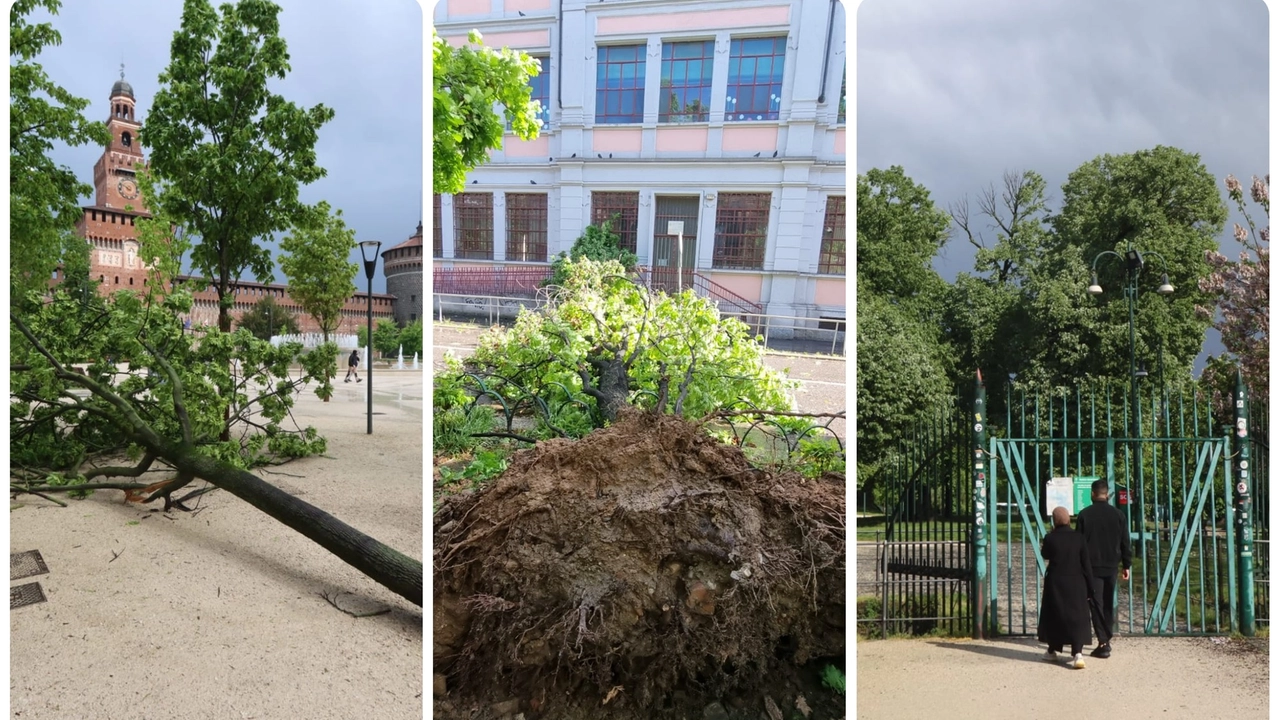 Milano, maltempo: alberi caduti e parchi chiusi