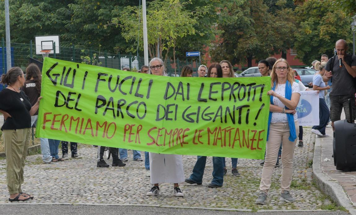 Conigli selvatici abbattuti a fucilate. Animalisti in corteo: "Non si ripeta" Conigli selvatici abbattuti a fucilate. Animalisti in corteo: "Non si ripeta"