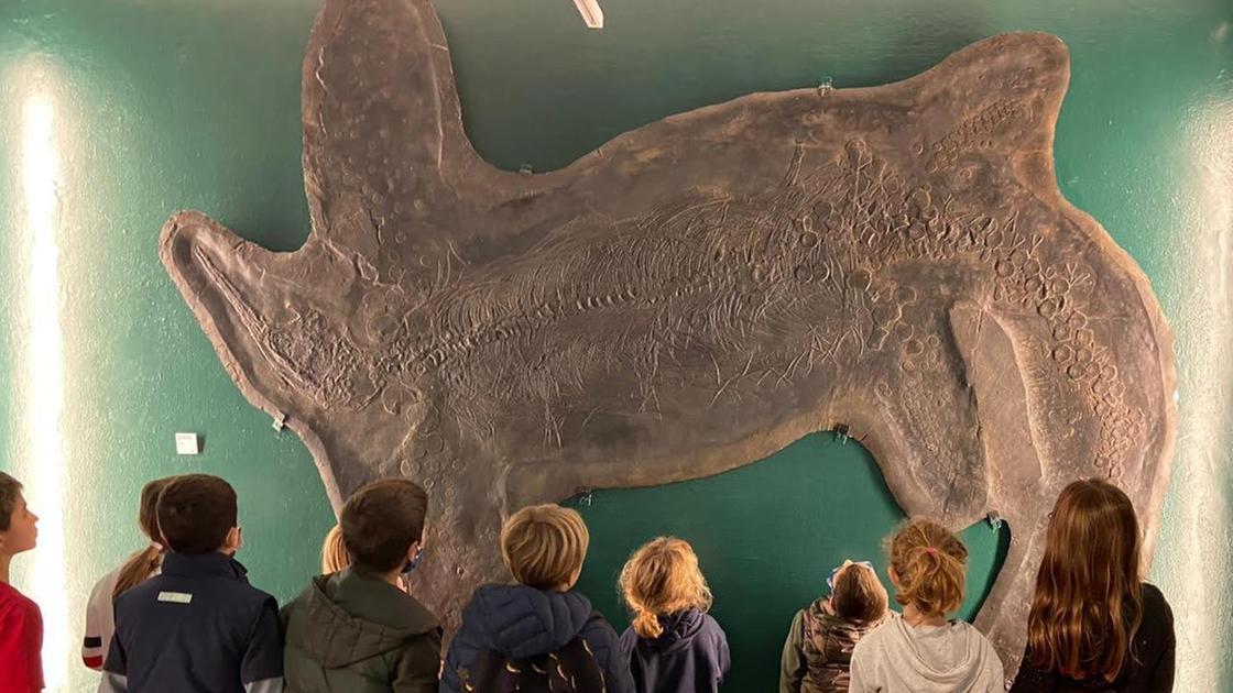 A Besano, nel Varesotto, cinque serate tra fossili in mostra e natura A Besano, nel Varesotto, cinque serate tra fossili in mostra e natura