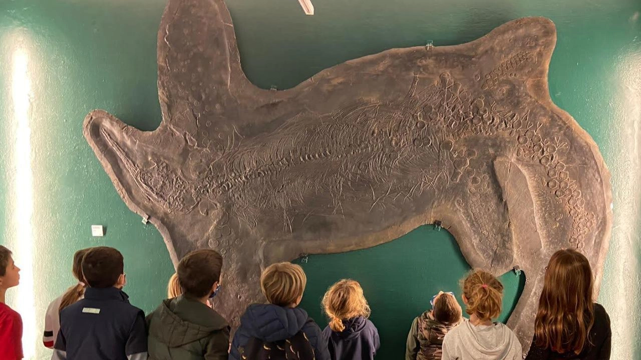 Tornano le serate estive al Museo dei Fossili di Besano (VA) con un ciclo di appuntamenti pensati per unire natura,...