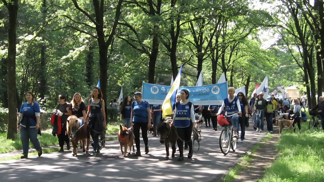 In marcia per difendere gli animali. Torna al Parco “4 passi a 4 zampe“ In marcia per difendere gli animali. Torna al Parco “4 passi a 4 zampe“