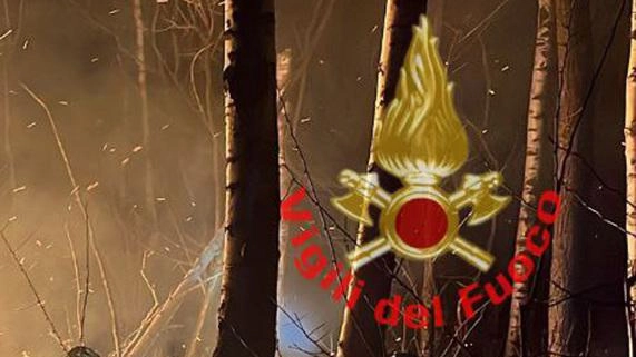 I pompieri del Comando di Monza impegnati in un incendio nelle Groane I pompieri del Comando di Monza impegnati in un incendio nelle Groane