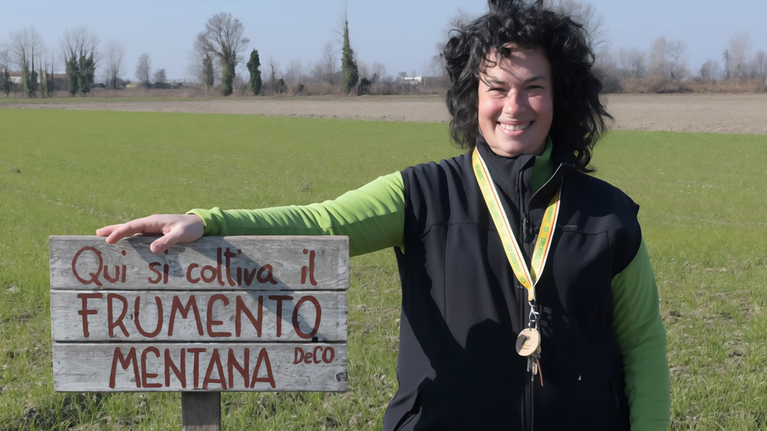 Un consiglio "da esperto" su come aumentare la produttività, indicazioni sulla coltivazione maggiormente idonea in zona, notizie sul mercato,...