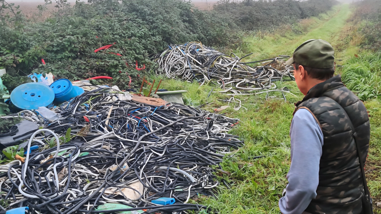 I rifiuti lasciati a quanto sembra da un gruppo di romeni accampati alle spalle del depuratore di San Rocco nei pressi della Tangenziale ovest I rifiuti lasciati a quanto sembra da un gruppo di romeni accampati alle spalle del depuratore di San Rocco nei pressi della Tangenziale ovest