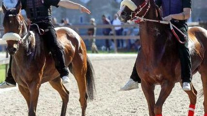 Con il Capitolo al Cenobio del Collegio dei Capitani e delle Contrade si è dato il “la” alla futura edizione del Palio con il sorteggio delle prove che si terranno al Mari