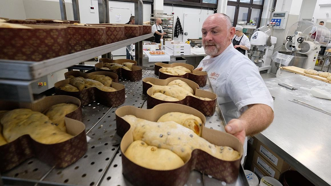 Dalle amarene alle erbe, il dolce della festa proposto in tutte le salse da fornai e pasticcieri. Il costo della tradizione arriva a 60 euro, meglio la pizza pasquale umbra (25 al chilo) o la pastiera (30).