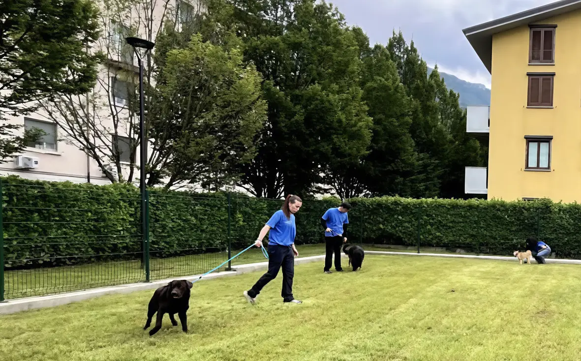 Tra siringhe e pericoli per gli animali: "Aree cani trasformate in discariche"