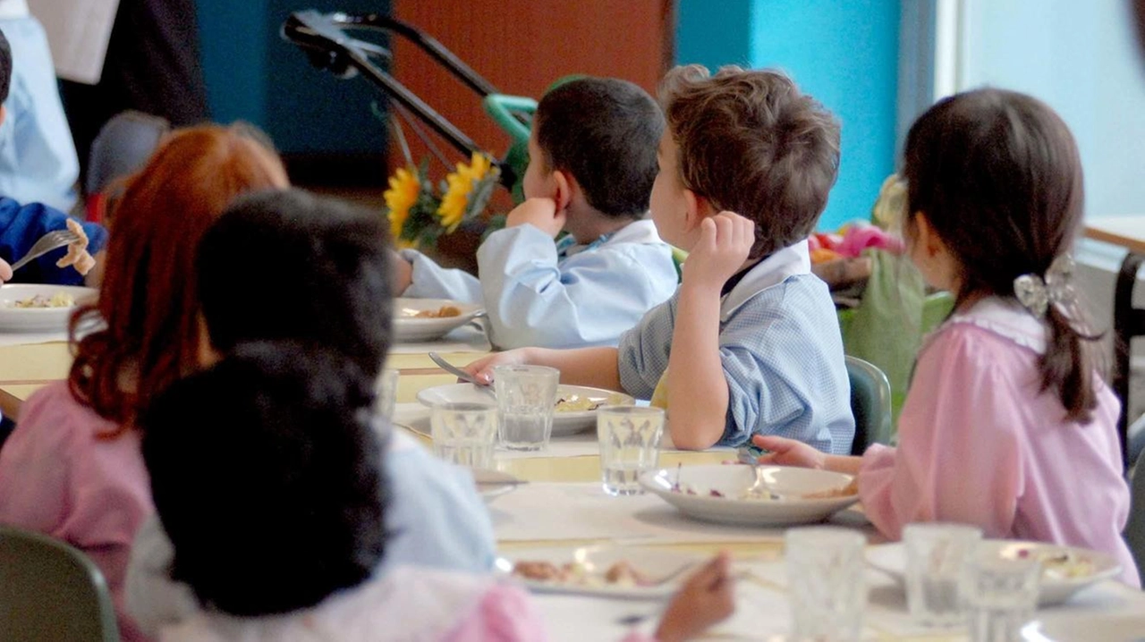 Quanto successo ha preoccupato i genitori dei piccoli, ma il Comune rassicura: la derattizzazione sarà efficace e risolutiva Quanto successo ha preoccupato i genitori dei piccoli, ma il Comune rassicura: la derattizzazione sarà efficace e risolutiva