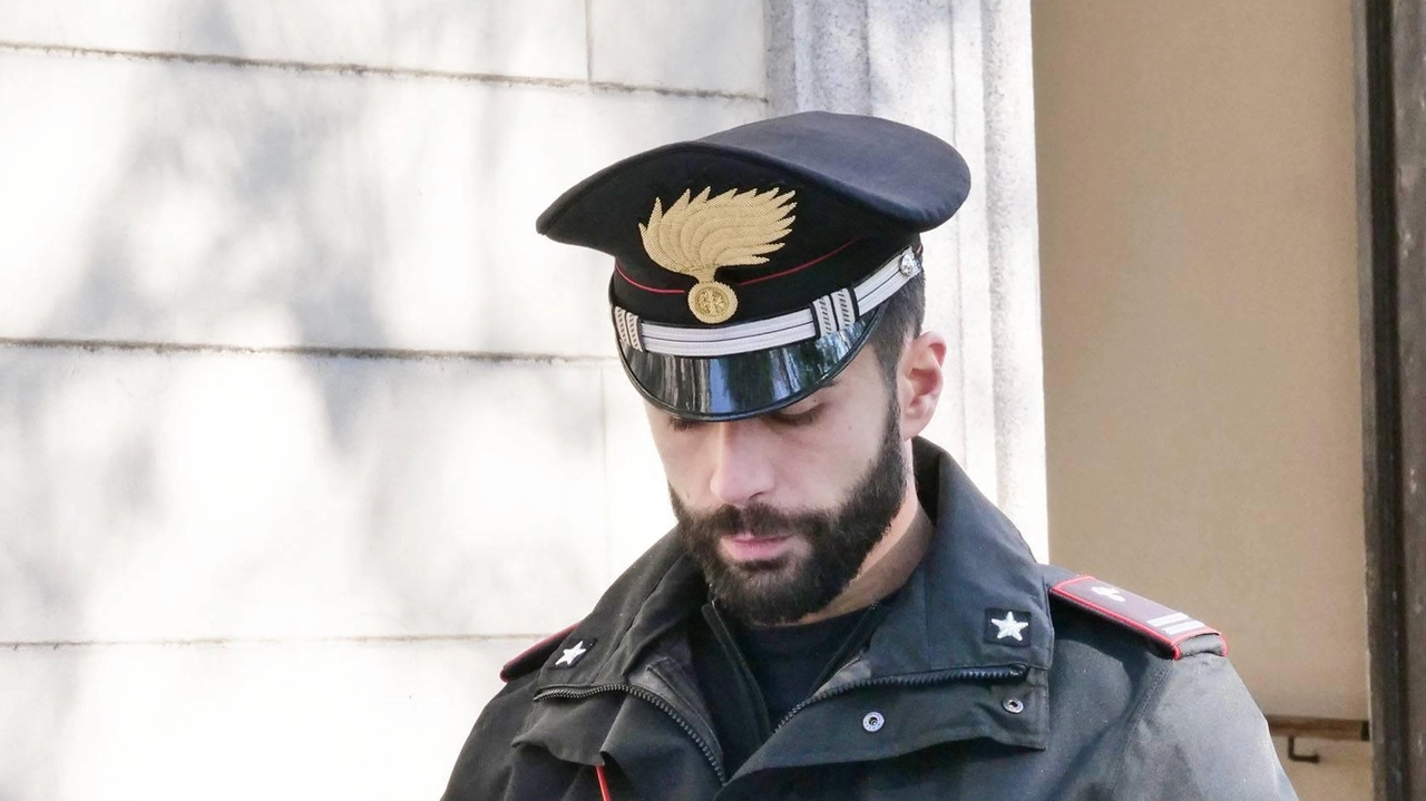 I carabinieri stanno indagando su quanto accaduto in seguito alle denunce presentate dai proprietari I carabinieri stanno indagando su quanto accaduto in seguito alle denunce presentate dai proprietari